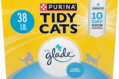 Purina Tidy Cats Glade Clear Springs — Honest Review