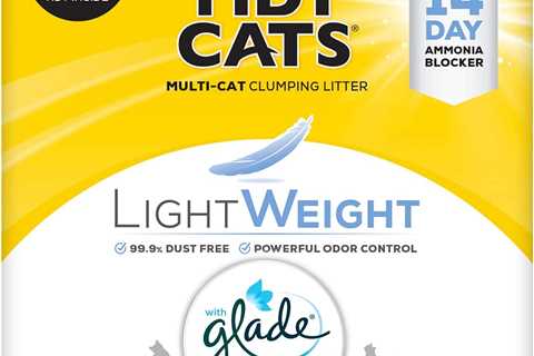 Purina Tidy Cats Review: Low Dust Wonder