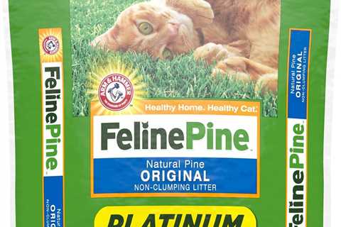 Feline Pine Platinum Review: No More Odor Drama