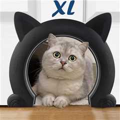 Wordcam : revue d’une porte pour chat XL