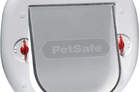 PetSafe Chatière Staywell : Revue de la Solution Parfaite