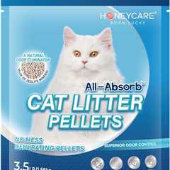 Honeycare All-Absorb Cat Litter Review: Zeolite Wonders!