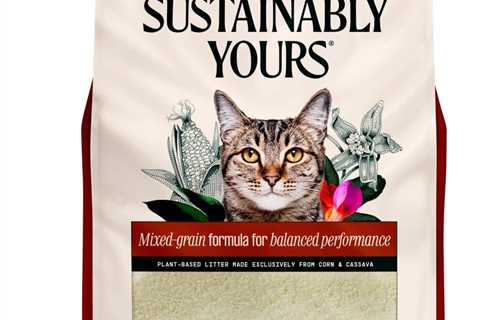 Cat Litter Review: The Mixed-Grain Formula Experience