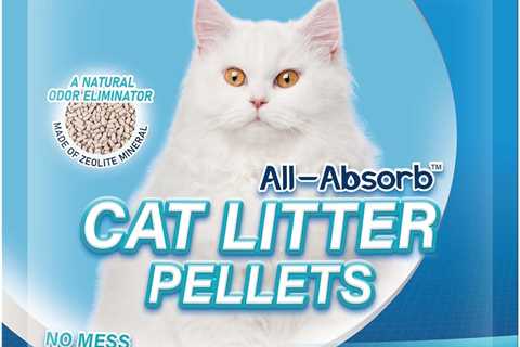 Honeycare All-Absorb Cat Litter Review: Zeolite Wonders!