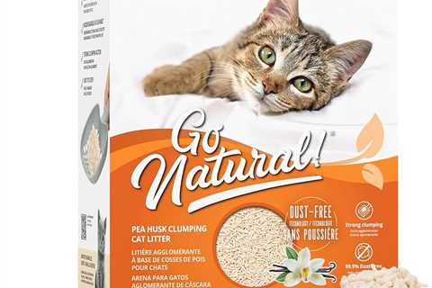 Catit Litter Review: Scented Vanillas & Happy Paws