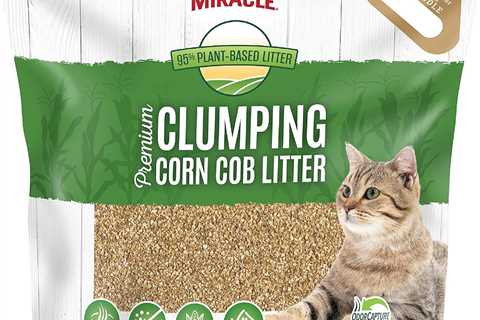 Nature’s Miracle Litter Review: Odor Be Gone!