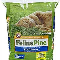 Feline Pine Review: The Cat’s Meow or Litter Lament?