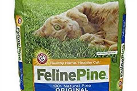 Feline Pine Review: The Cat’s Meow or Litter Lament?