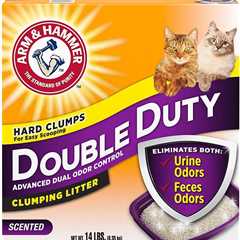 Arm & Hammer Double Duty Review: Odor-Free Bliss!