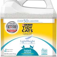 Purina Tidy Cats Review: Lightweight Litter That Works