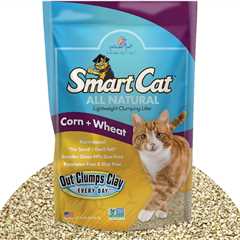 SmartCat Litter Review: Dust-Free Bliss for Cats