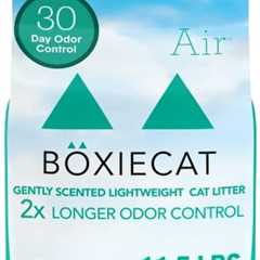 Boxie Gently Scented Cat Litter Review: A Breath of Freshness