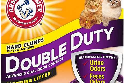 Arm & Hammer Double Duty Review: Odor-Free Bliss!