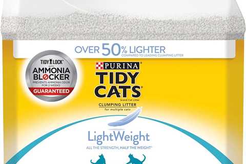 Purina Tidy Cats Review: Lightweight Litter That Works