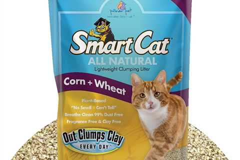 SmartCat Litter Review: Dust-Free Bliss for Cats