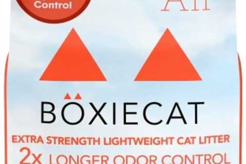 Boxie Extra Strength Cat Litter Review: 35 Days of Bliss