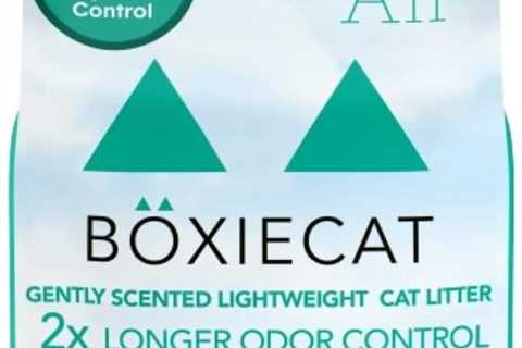 Boxie Gently Scented Cat Litter Review: A Breath of Freshness