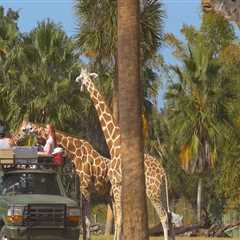 Exploring the Zoos in St. Lucie County, Florida: Age Restrictions and More