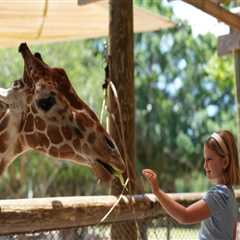 Exploring the Policy on Smoking at Zoos in St. Lucie County, Florida