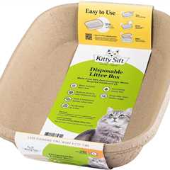 Kitty Sift Review: The Eco-Friendly Cat Litter Solution