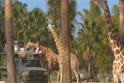 Exploring the Zoos in St. Lucie County, Florida: Age Restrictions and More