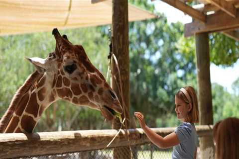 Exploring the Policy on Smoking at Zoos in St. Lucie County, Florida