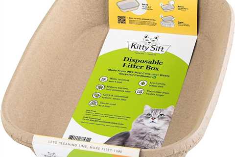 Kitty Sift Review: The Eco-Friendly Cat Litter Solution