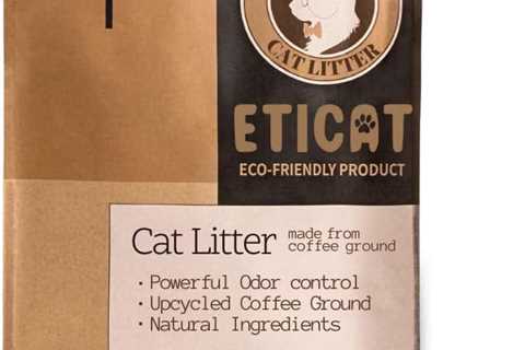 Natural Cat Litter Review: Coffee Grounds Marvel