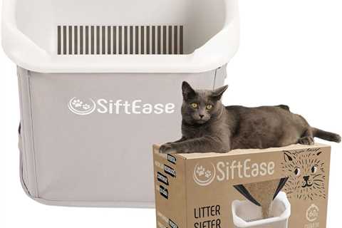 Cat Litter Sifter Review: A Cat Owner’s Dream