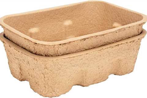 Kitty Sift Review: The Eco-Friendly Litter Box Revolution