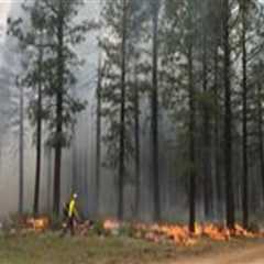 The Impact of Climate Change on Nature Preservation Efforts in Central Oregon