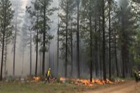 The Impact of Climate Change on Nature Preservation Efforts in Central Oregon