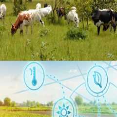 Navigating Climate Change: Strategies for Effective Livestock Management