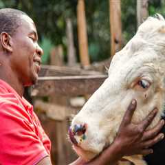 Essential Practices for Effective Livestock Management and Animal Well-Being