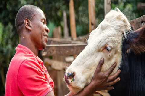 Essential Practices for Effective Livestock Management and Animal Well-Being