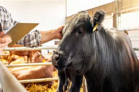 Essential Strategies for Maintaining Biosecurity in Livestock Facilities